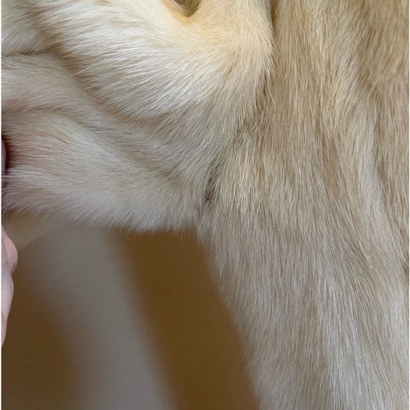 SOLD - Picture 7 of 9